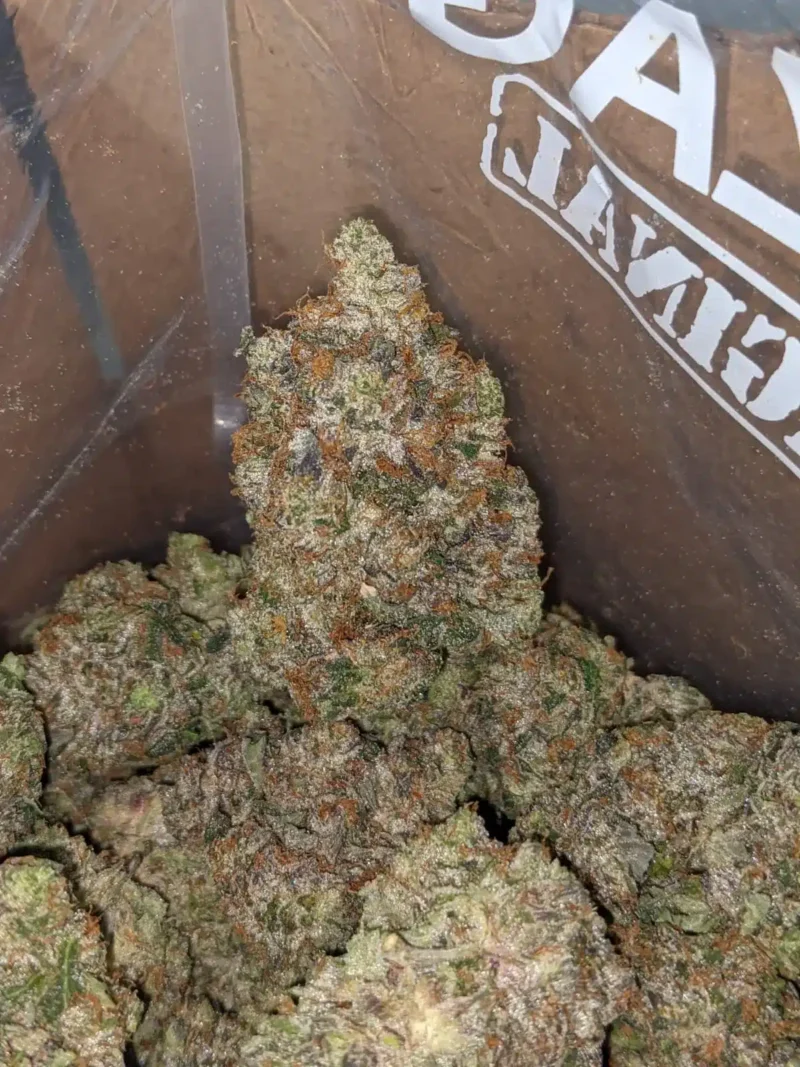 Bruce Banner - Image 4
