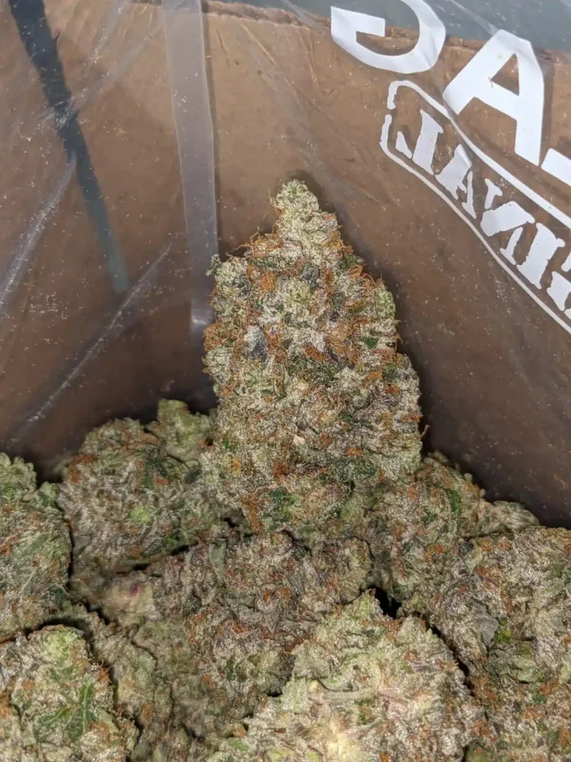 Bruce Banner - Image 5