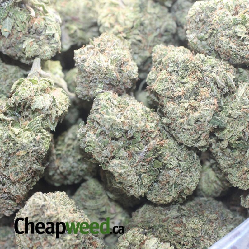 Bruce Banner AAA - Image 3