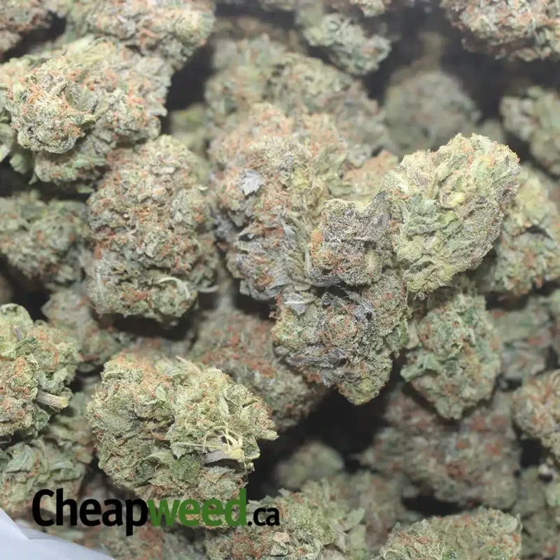 Bubba Kush - Image 3