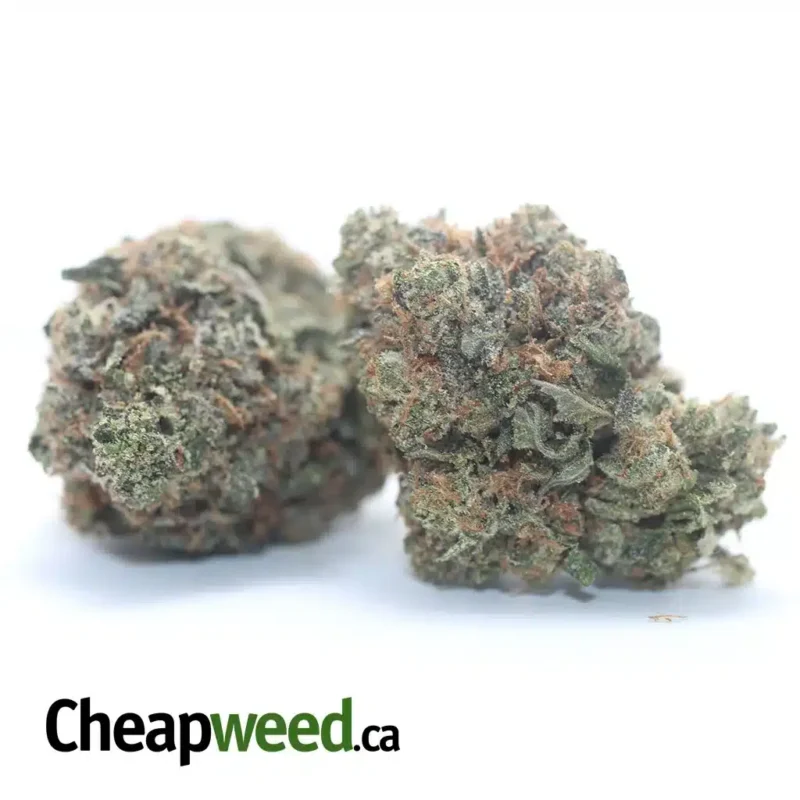 Bubba Kush - Image 2