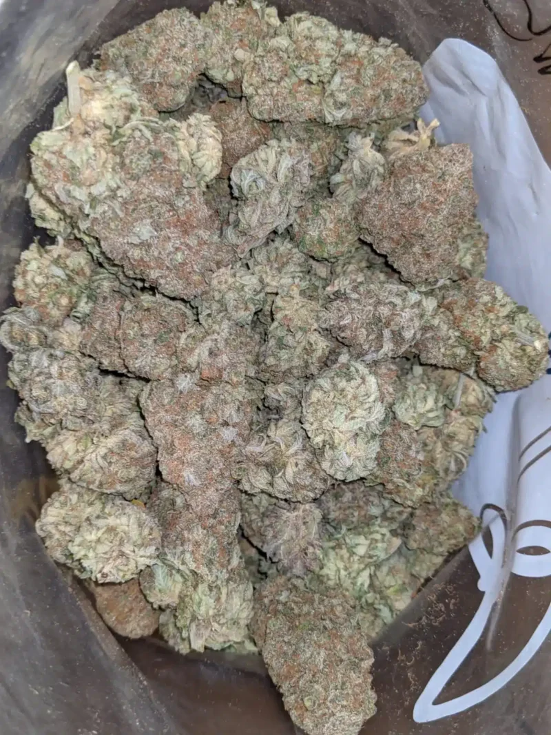 Berry Bomb - Image 4