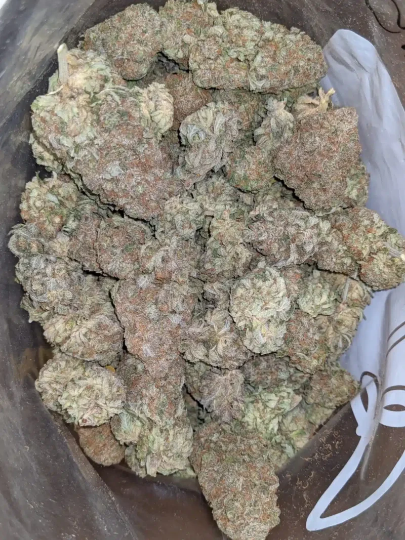 Berry Bomb - Image 7