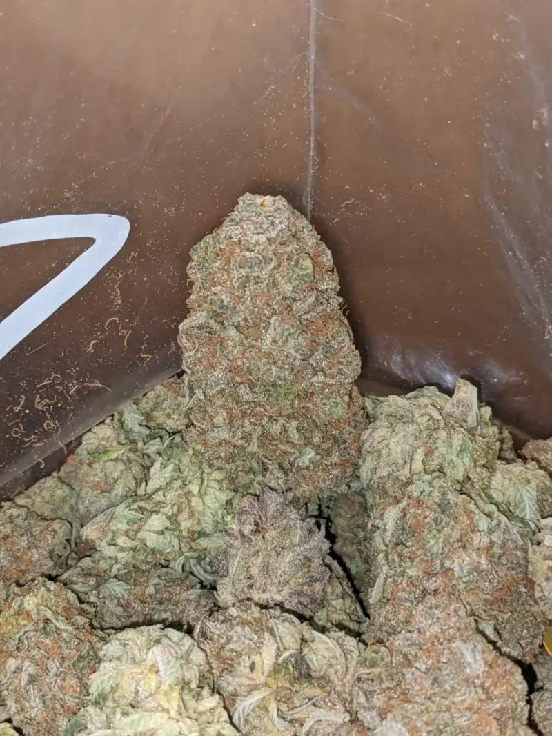 Berry Bomb - Image 6