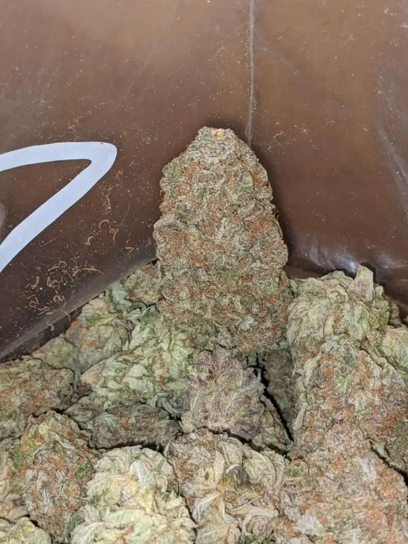 Berry Bomb - Image 5