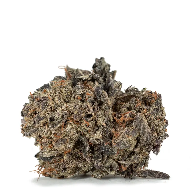 Black Gas