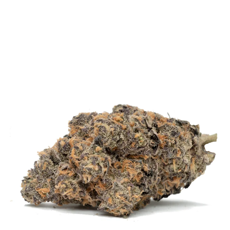 Black Mamba