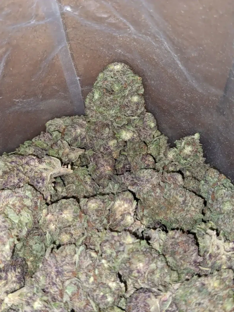 Black Widow Bulk Special - Image 6