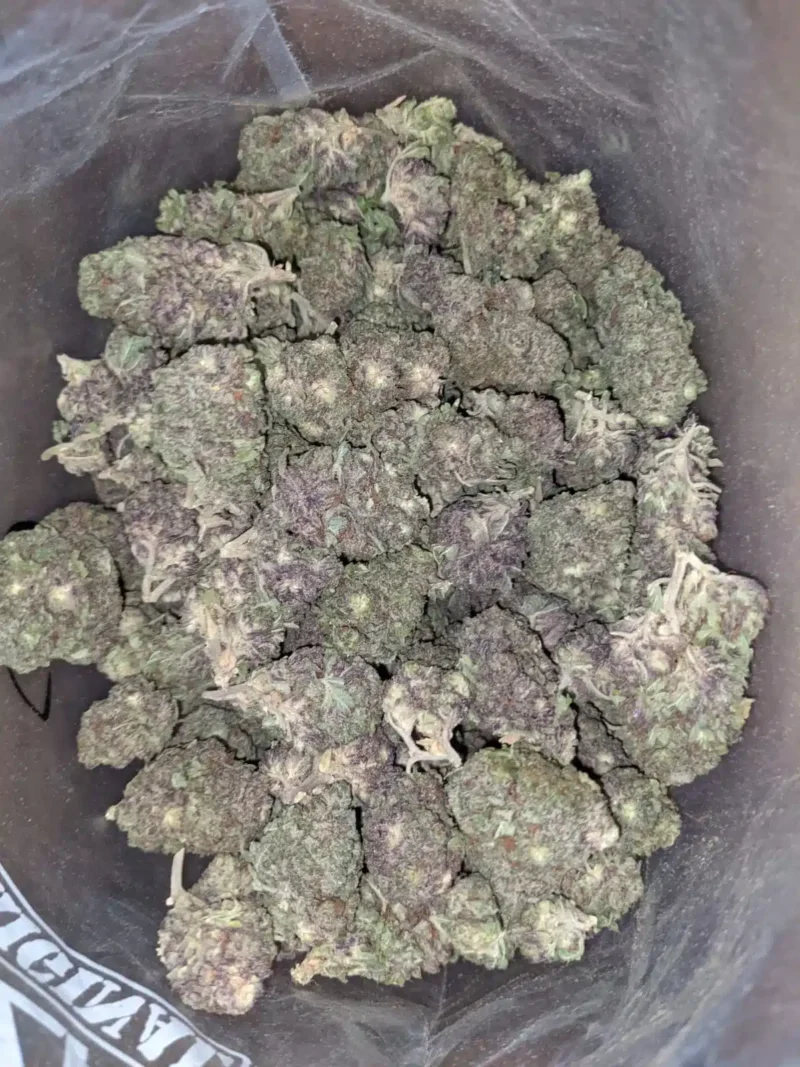 Black Widow Bulk Special - Image 5