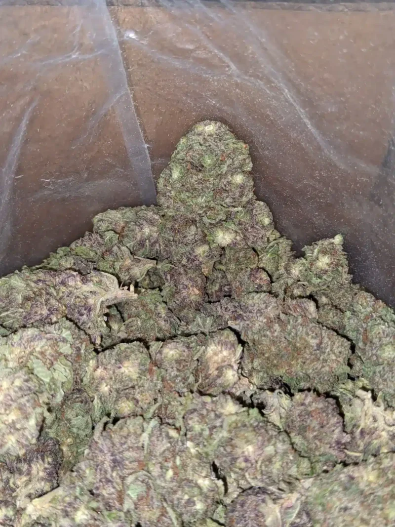 Black Widow Bulk Special - Image 4