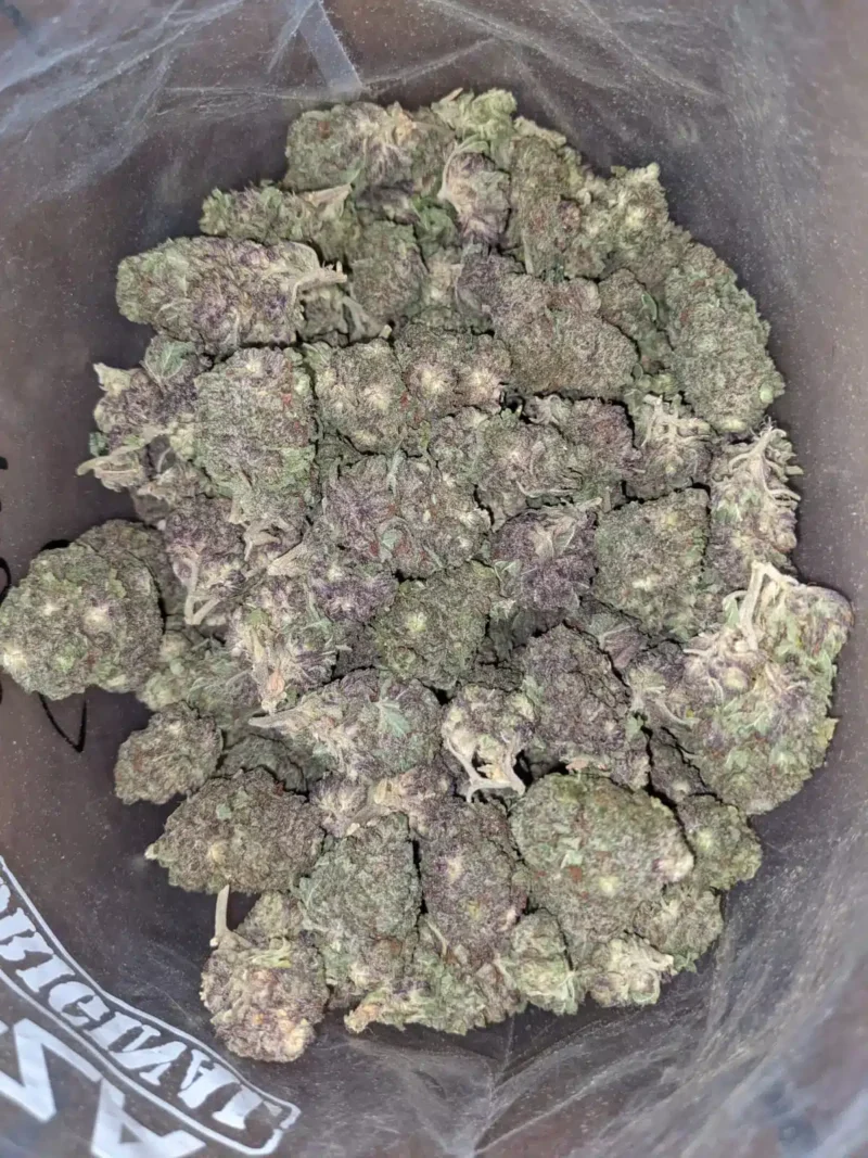 Black Widow Bulk Special - Image 7