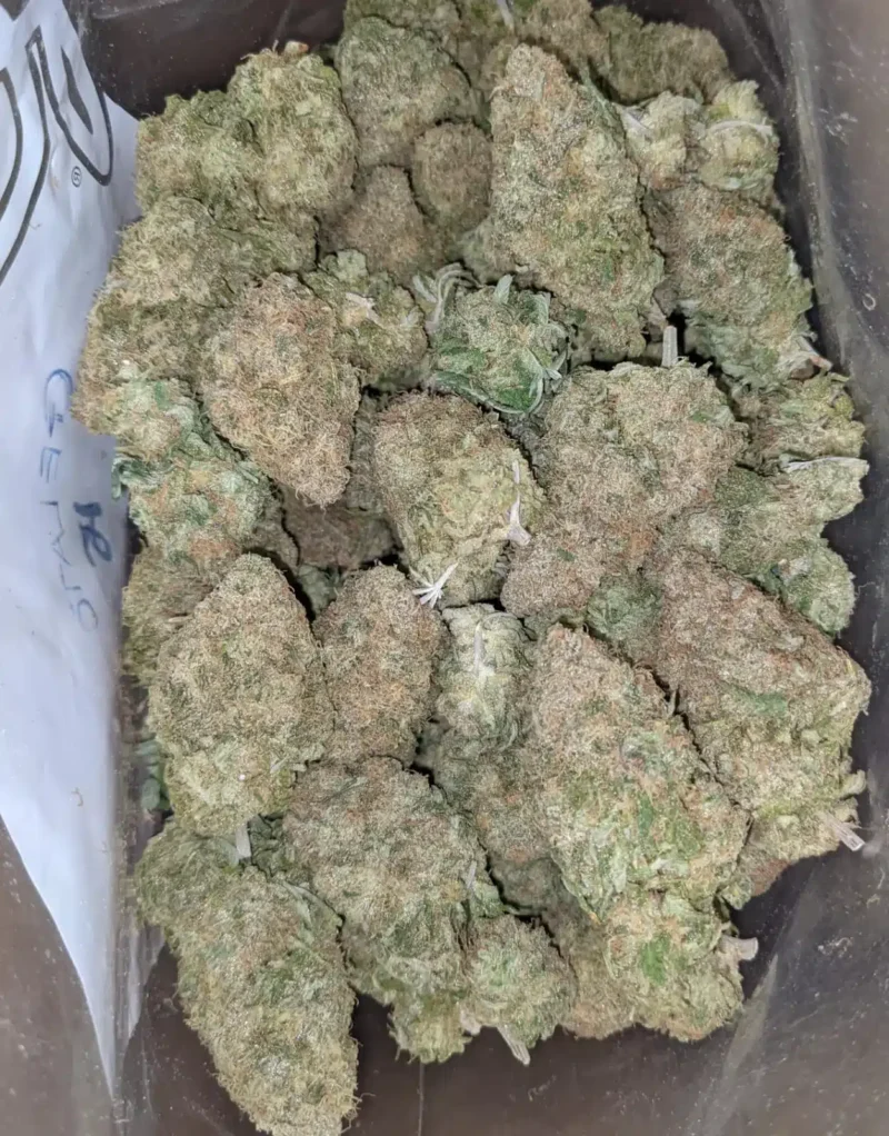 Black Cherry Gelato - Image 5