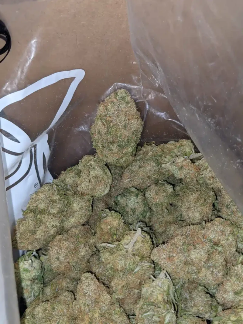 Black Cherry Gelato - Image 7