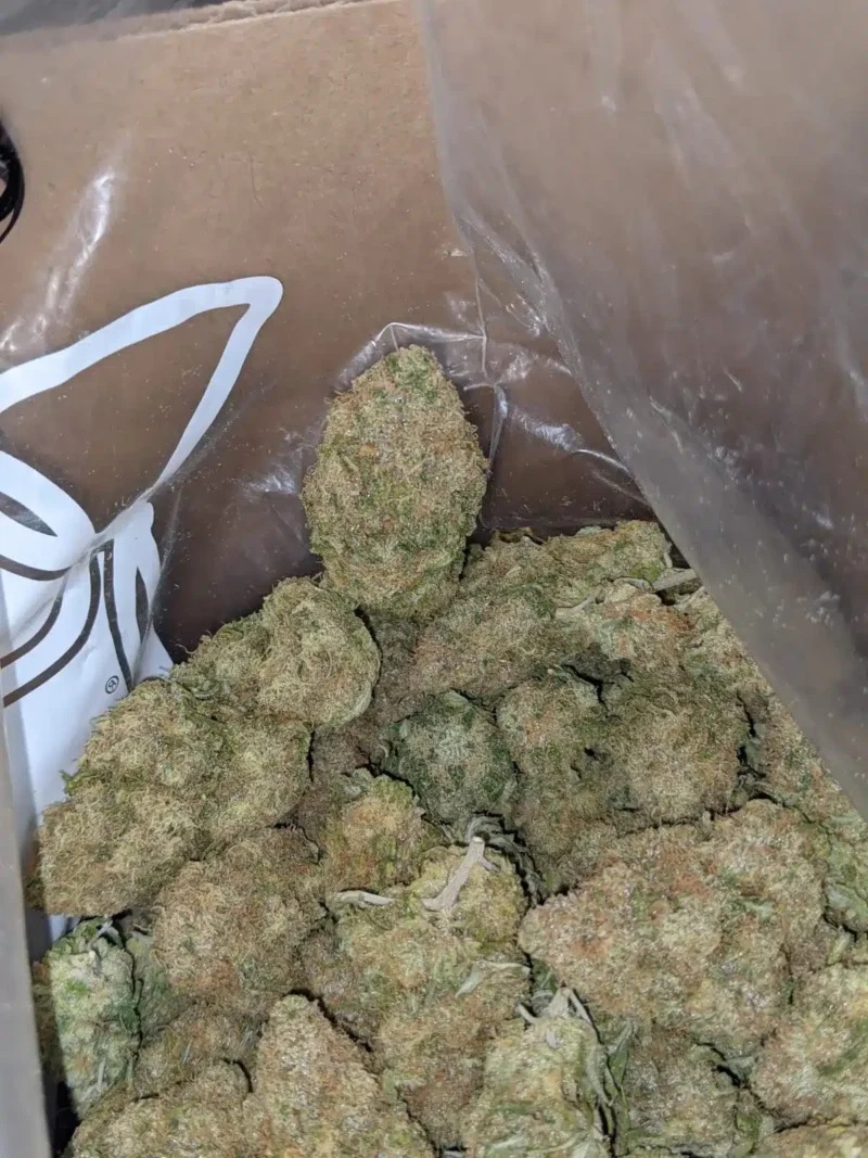 Black Cherry Gelato - Image 6