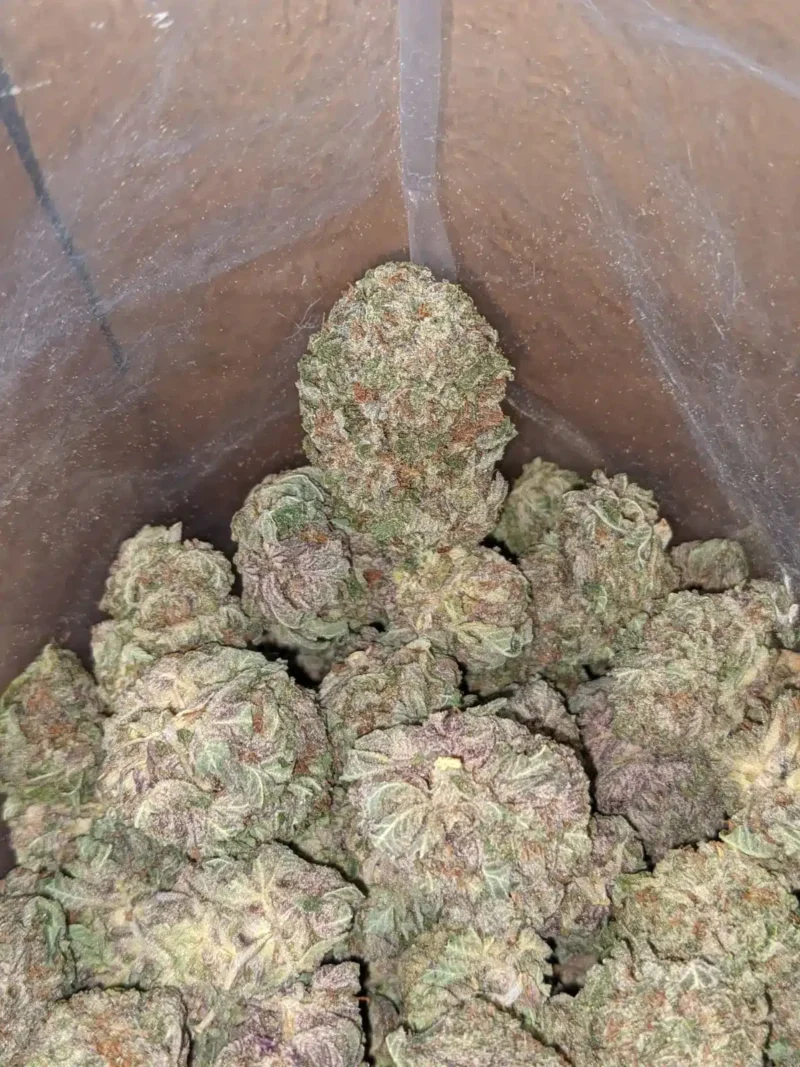 Black Diamond - Image 6