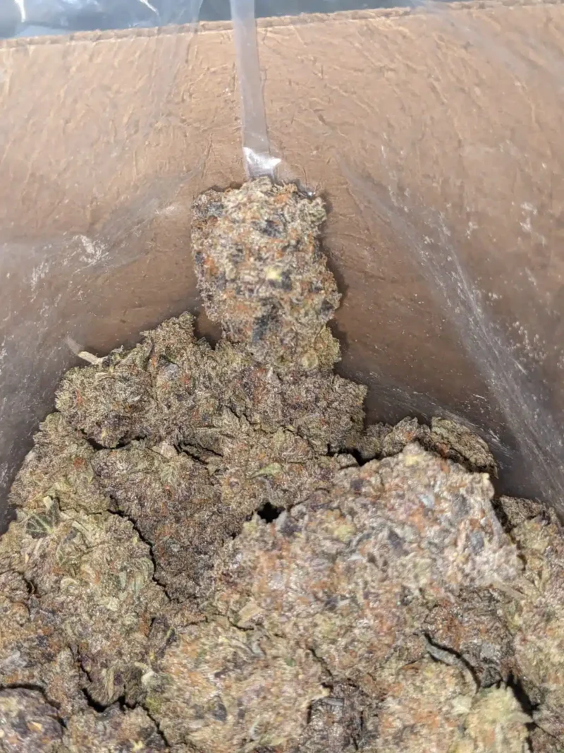 Black Gas - Image 7