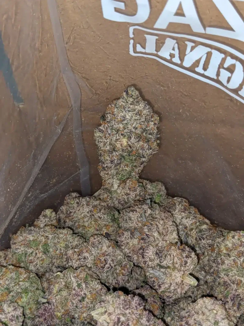 Blue Coma - Image 7