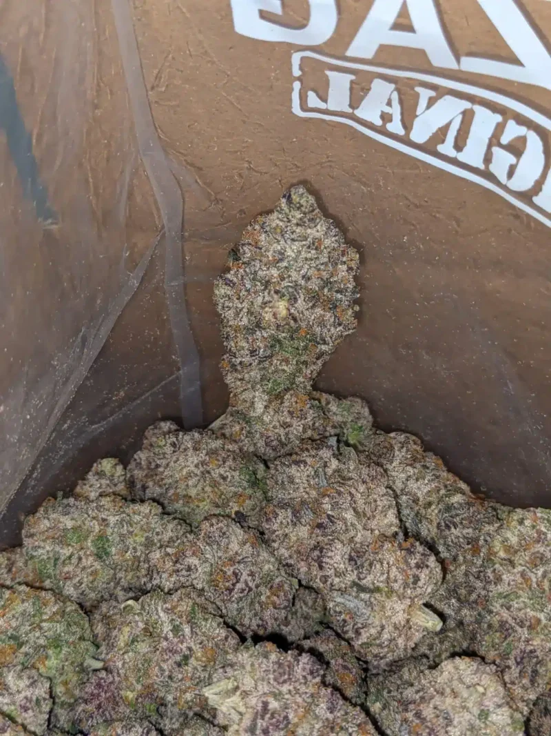 Blue Coma - Image 6
