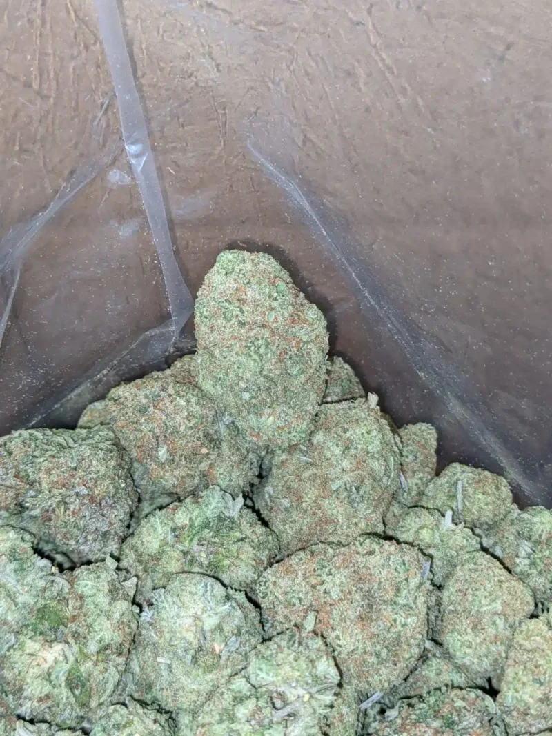 Blue Hawaiian - Image 5