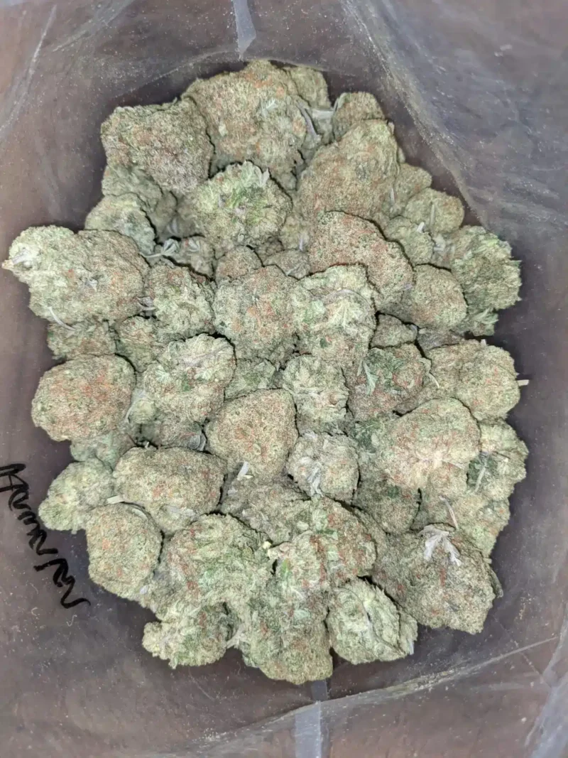 Blue Hawaiian - Image 4