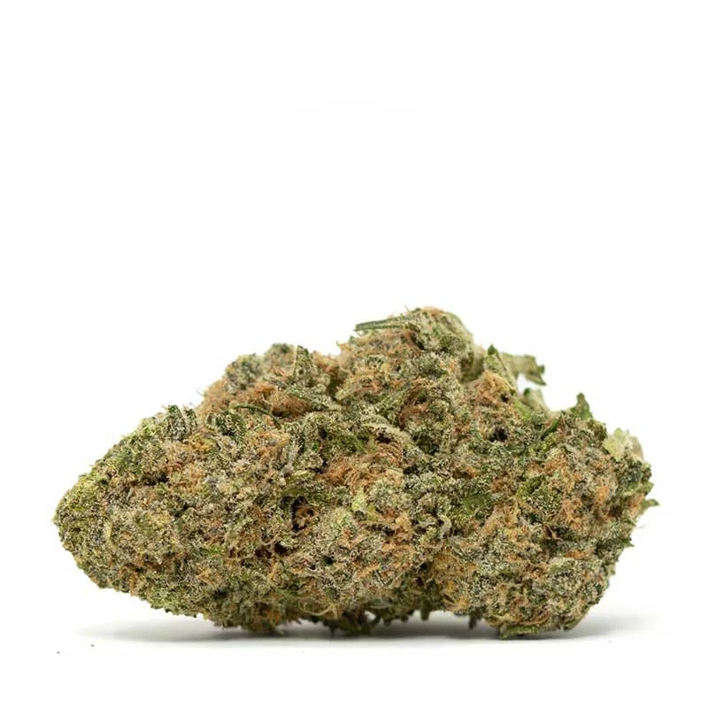 Blue Magoo