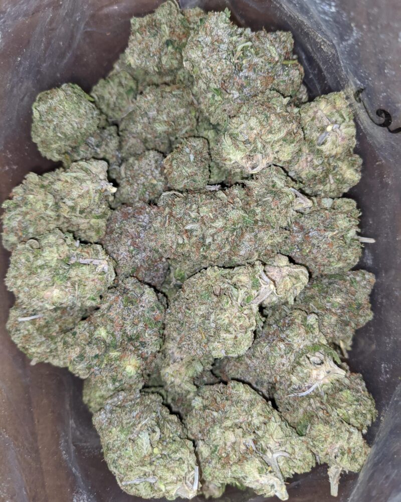 Bruce Banner AAA - Image 7