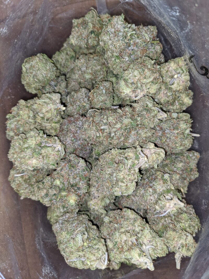 Bruce Banner AAA - Image 4