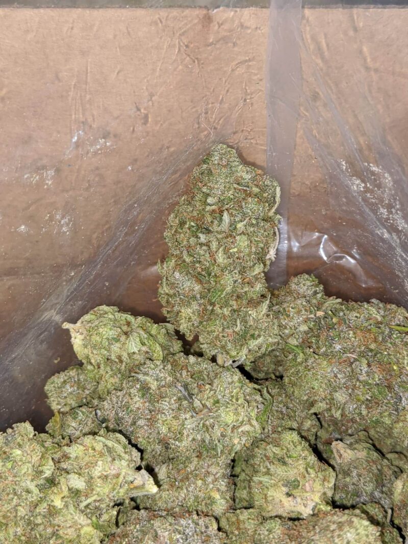 Bruce Banner AAA - Image 5