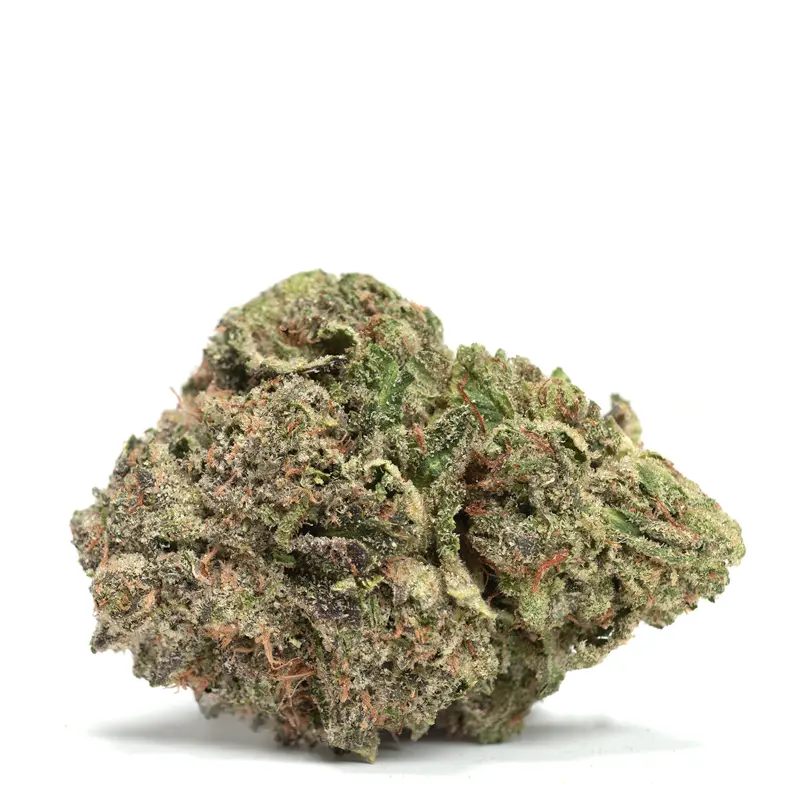 Bruce Banner