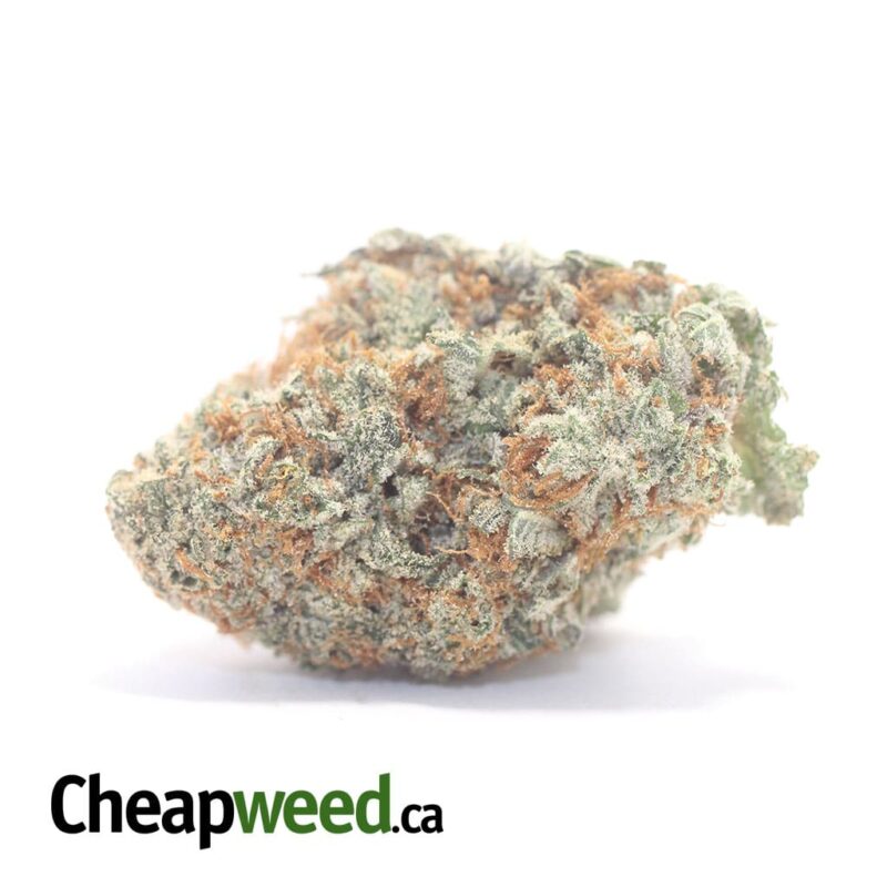 Cookie Breath