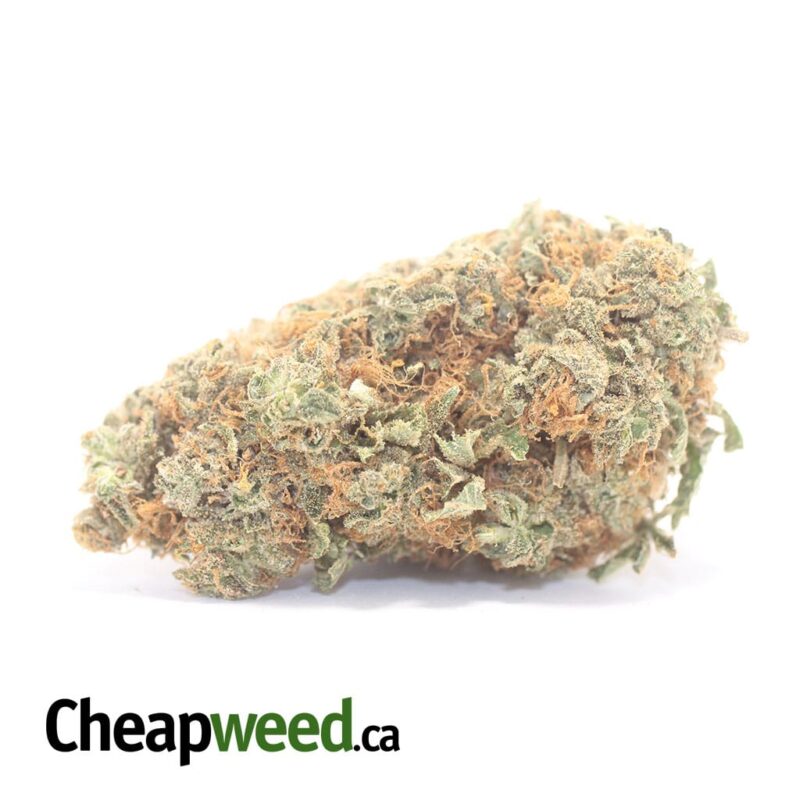 Columbian Gold
