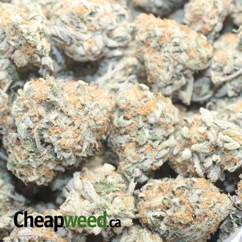 Cookie Monster #2 - Image 3