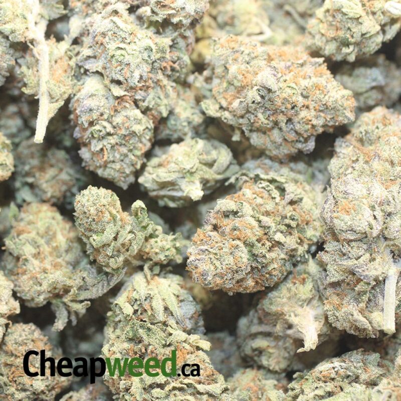 Cake Breath - Image 3