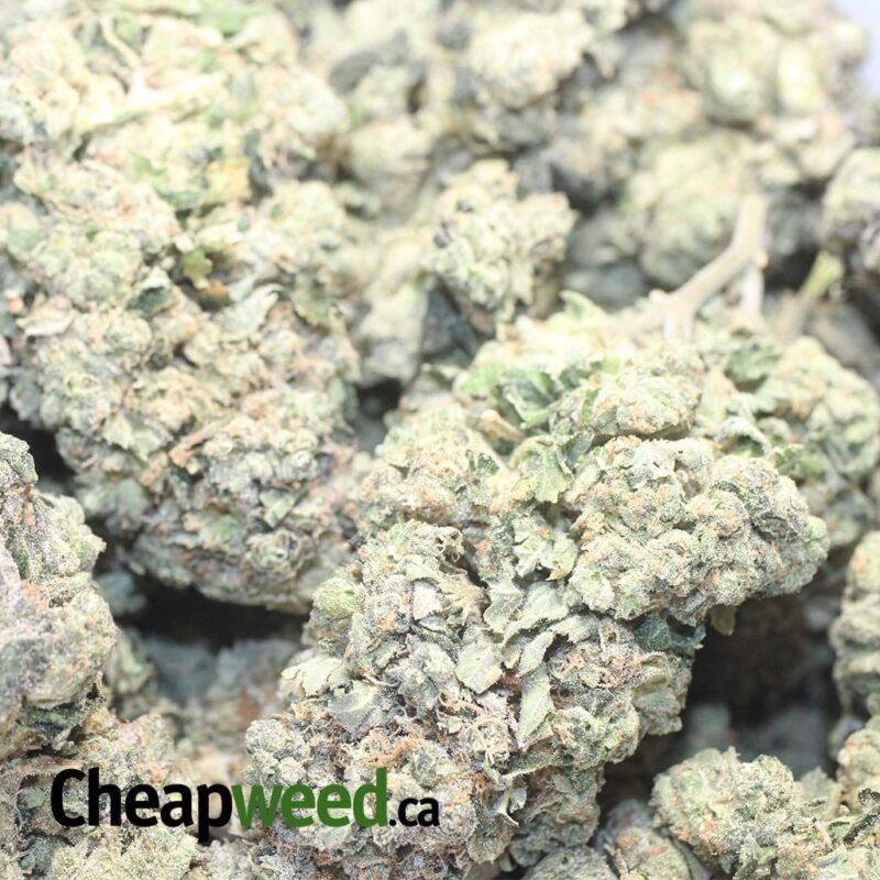 Cali Cookies - Image 3