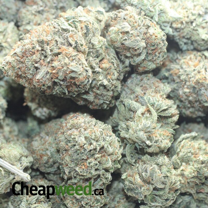 California Dream - Image 3