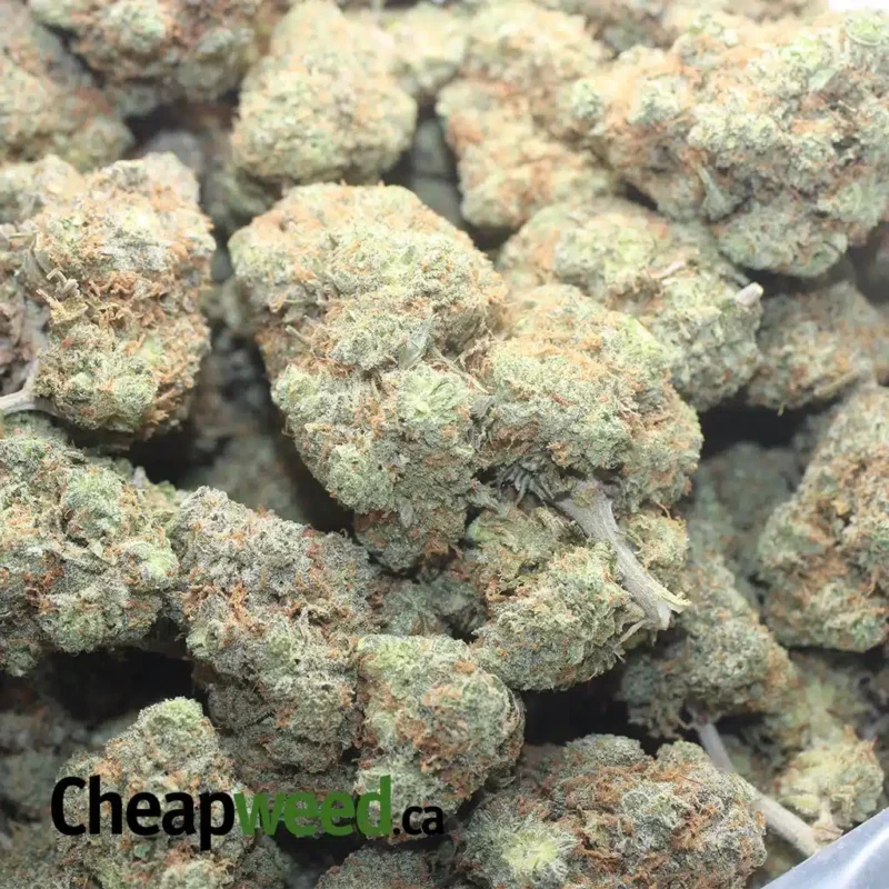 Candy Breath - Image 3
