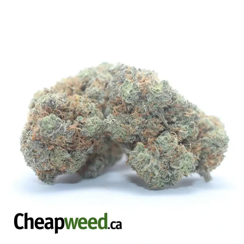 Candy Breath - Image 2