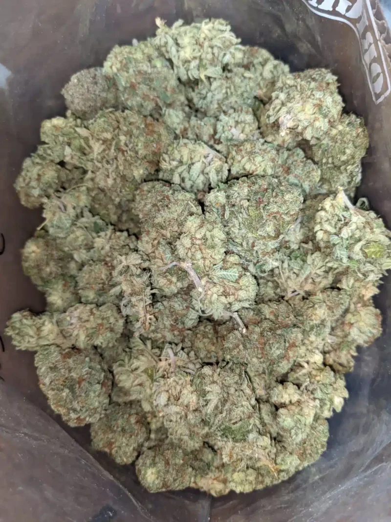 Candy Jack - Image 5