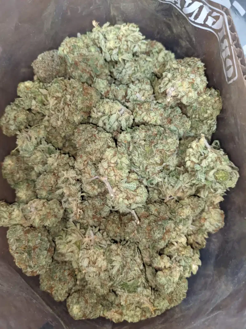Candy Jack