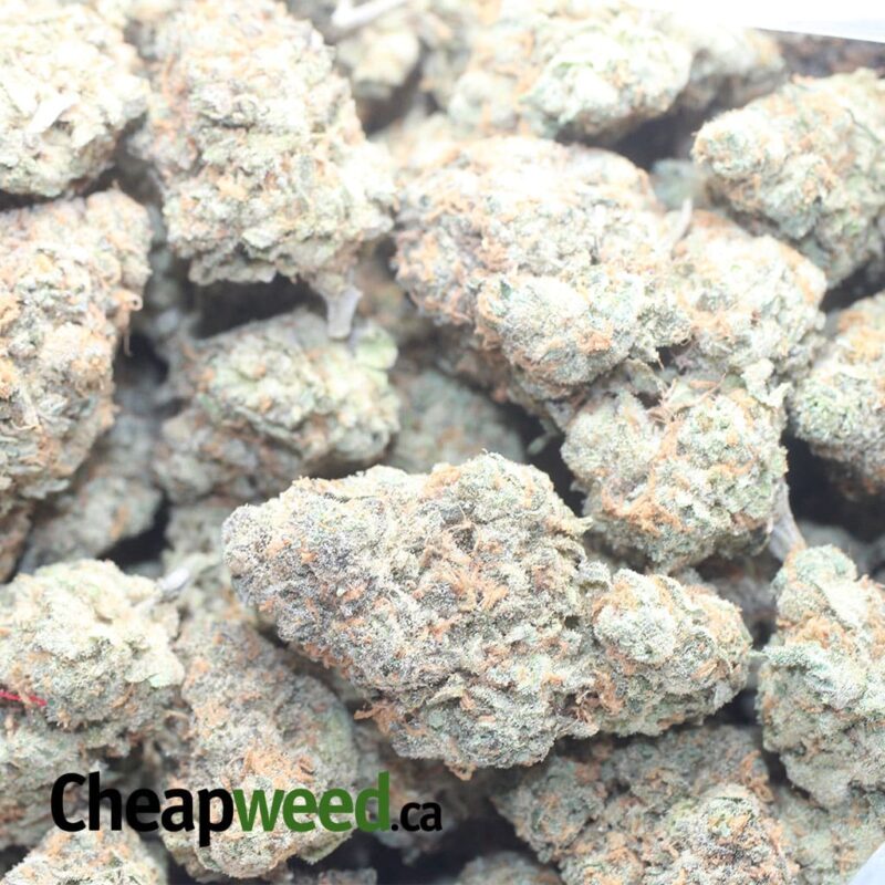 Candy Kush - Image 3