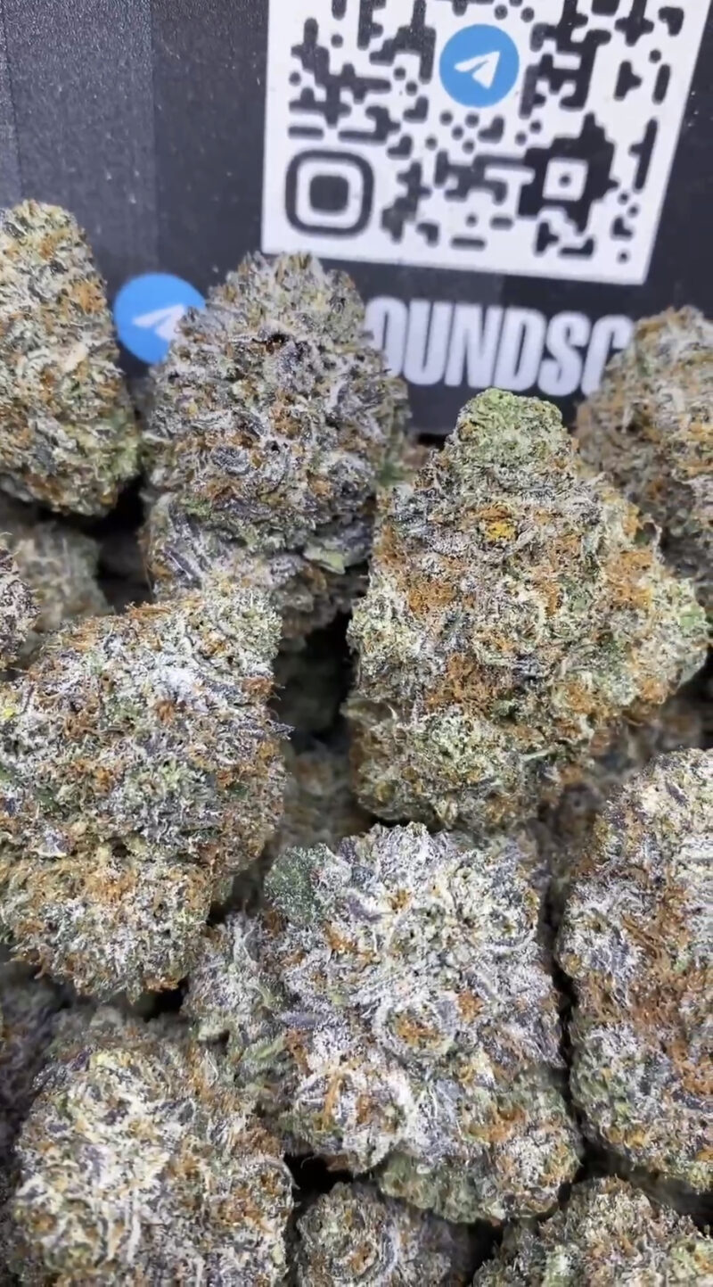 Granddaddy Purple