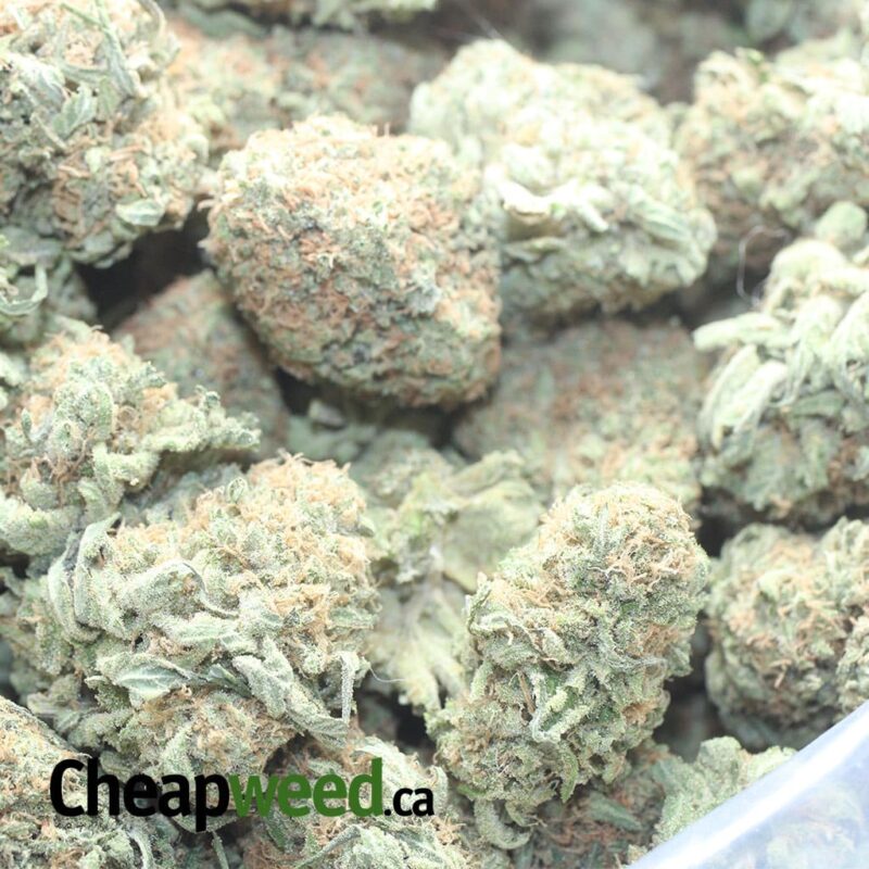 Cheese And Chong - Image 3