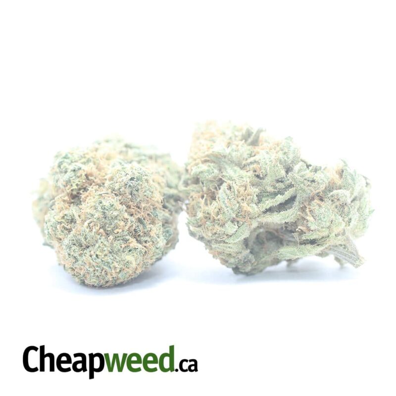 Cheese And Chong - Image 2