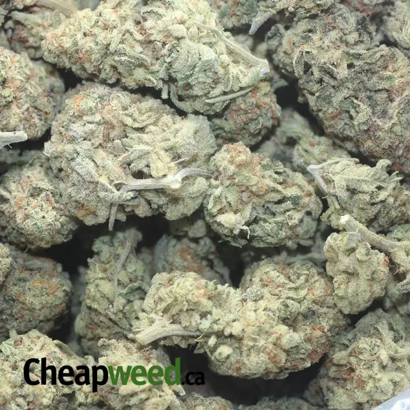 Chem Bomb - Image 3