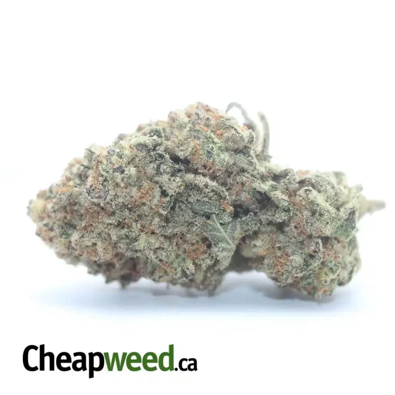 Chem Bomb