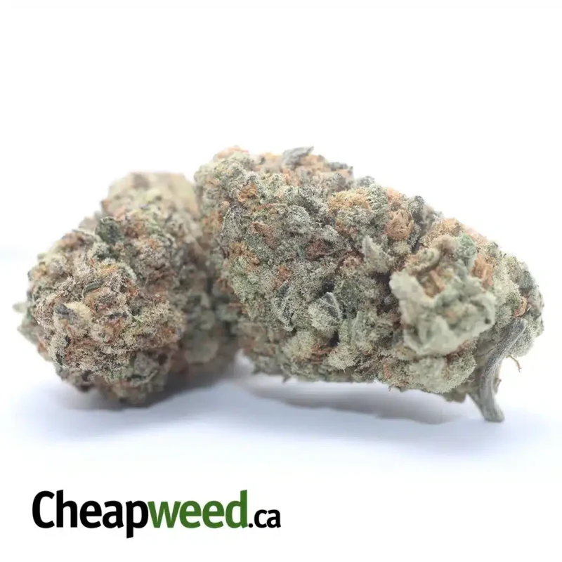 Chem Bomb - Image 2