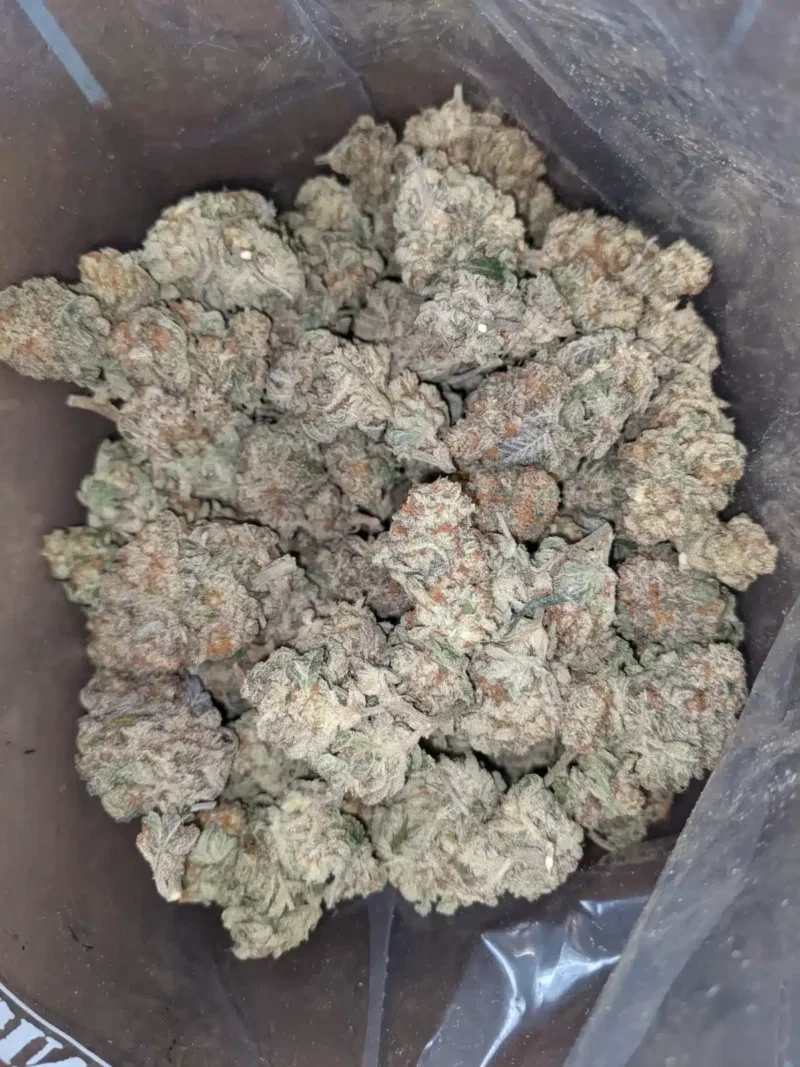Chem De La Chem