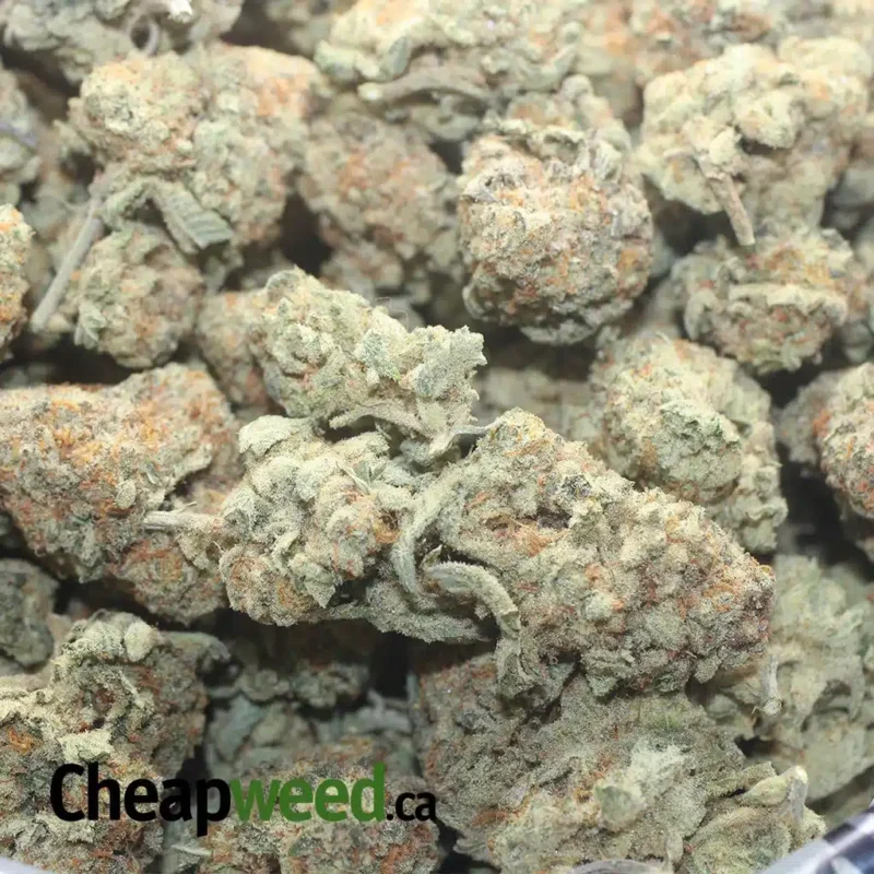 Chem De La Chem #2 - Image 3
