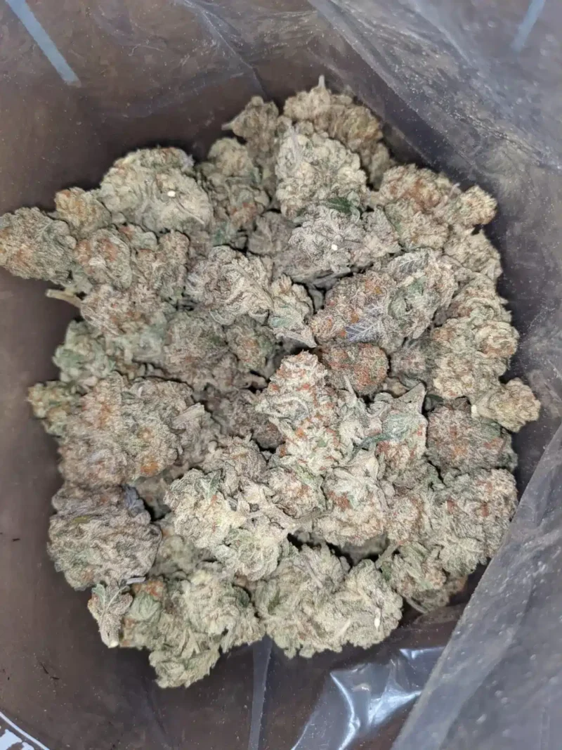 Chem De La Chem - Image 2