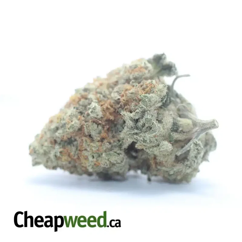 Chem De La Chem #2